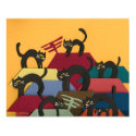 Black Cats poster