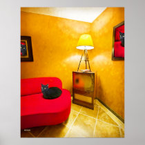 BLACK CATS posters