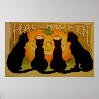 Black Cats Pumpkin Halloween Poster