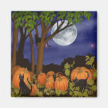 Black Cats & Pumpkins Magnet