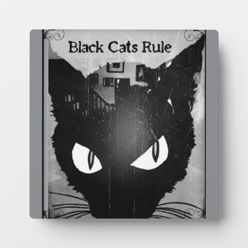 black cats rule