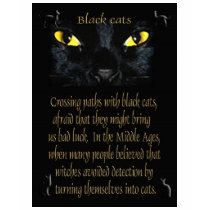 Black cats t-shirts