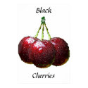 Black Cherries posters