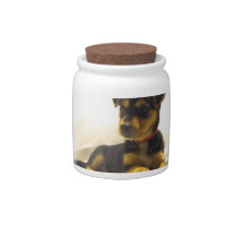Black Chihuahua Candy Jar