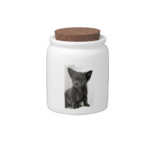 Black Chihuahua  Candy Jar