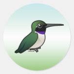 Black-chinned Hummingbird Stickers