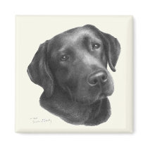 Black/Chocolate Labrador Retriever Magnets