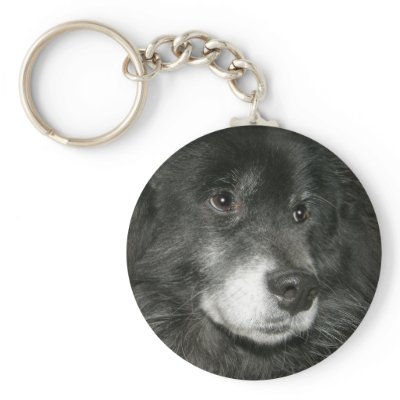 Black Chow Chow Mix Photo Keychains by FCACshelter