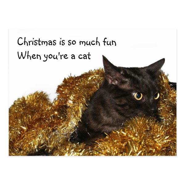 Black Christmas cat Post Card