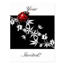 Black clematis ladybug heart design postcard