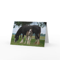 Black Clydesdale and Filly Cards