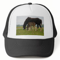 Black Clydesdale and Filly Trucker Hats
