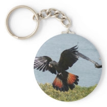 Black Cockatoo in for landing Key Chains