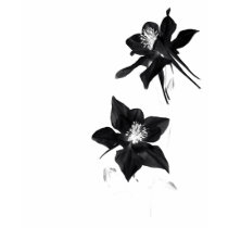 Black Columbine t-shirts