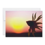 Black Coneflower before the setting sun, Quebec, C Personalized Announcement