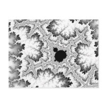 Black Coral Postcard by JamesOakley Black Coral Postcard