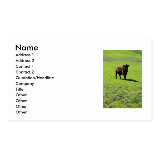 Black Cow Business Card