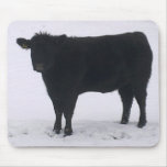 Black Cow in Snow Mousepad