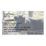 Black Cow Looking Out Of Fence Business Card Template