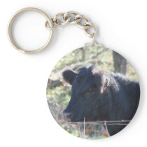 Black Cow Looking Out Of Fence keychains
