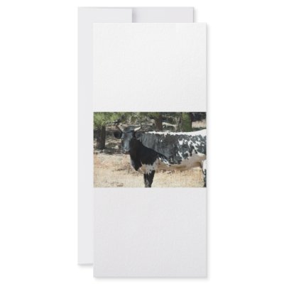 Black Cow rack cards by Kachoozie