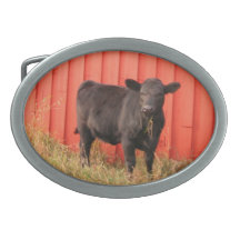 Black Cow Red Barn Oval Belt Buckle