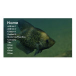 Black crappie business cards