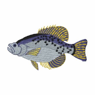 Black Crappie