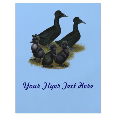 Black Crested Duck Family Flyer by diane_jacky