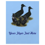 Black Crested Duck Family Flyer