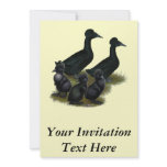 Black Crested Duck Family Personalized Invite