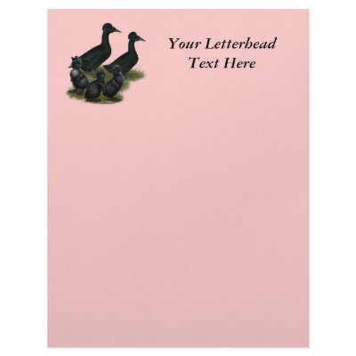 Black Crested Duck Family Custom Letterhead by diane_jacky