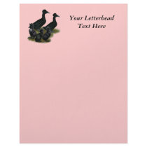 Black Crested Duck Family Custom Letterhead
