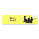 Black Crested Ducklings Bumper Stickers