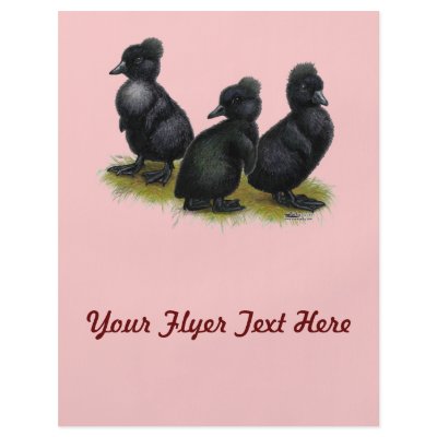 Black Crested Ducklings Flyers by diane_jacky