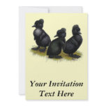 Black Crested Ducklings Invites