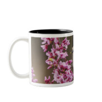 Black-crested Titmouse, Baeolophus Coffee Mugs