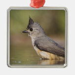 Black-crested Titmouse, Baeolophus Christmas Ornament