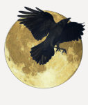 BLACK CROW Ascending 3/4-Sleeved Shirt