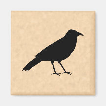 Black Crow Bird on a Parchment Pattern. Fridge Magnet