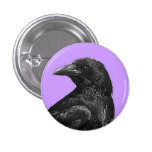 Black crow buttons