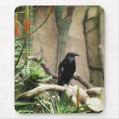 Black Crow mousepad