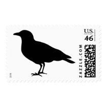 black crow postage