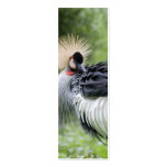 Black Crowned Crane Business Card