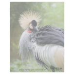 Black Crowned Crane Custom Letterhead