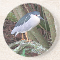 Black Crowned Night Heron coasters