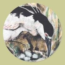 Black Crowned Night Heron - Bird Stickers stickers