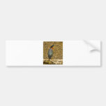 Black-Crowned Night heron Bumper Sticker