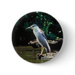Black-crowned night heron pin