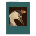 Black crowned night heron card